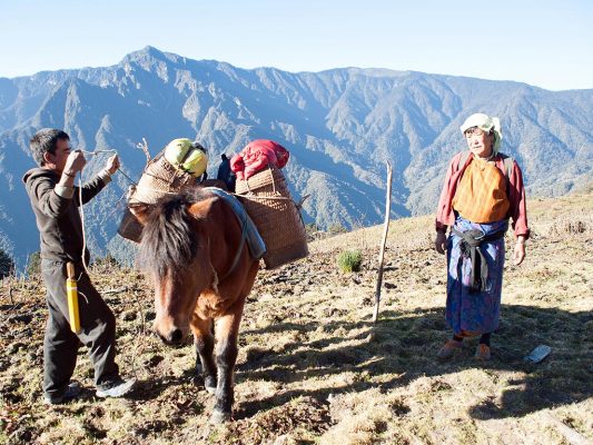 tourism and hospitality management in bhutan